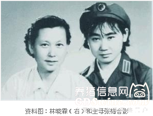 林彪長(zhǎng)女的慘淡一生 屢遭迫害被后媽葉群發(fā)配邊疆養(yǎng)豬