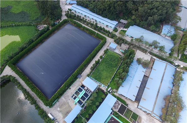 生態(tài)循環(huán)農(nóng)業(yè)讓養(yǎng)豬場(chǎng)變景點(diǎn)