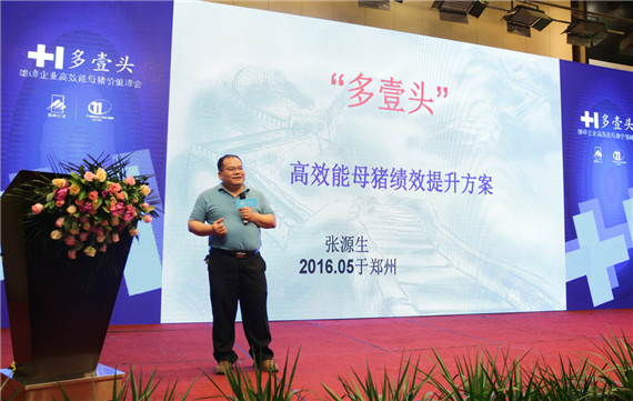 【多壹頭】特別報道：專注于母豬高效能，雄峰重新定義母豬料