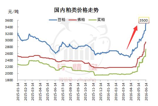 玉米、豆粕暴漲，豬價(jià)竟跌了1塊，豬還咋養(yǎng)？