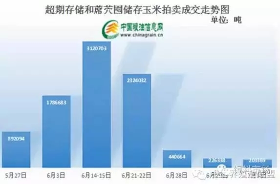 未來玉米價格將走向何方？