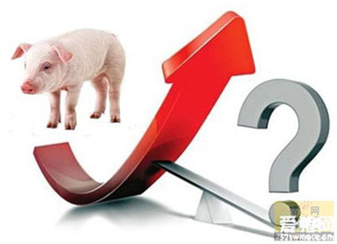 下半年豬價怎樣？快看央視和發(fā)改委最新回應(yīng)