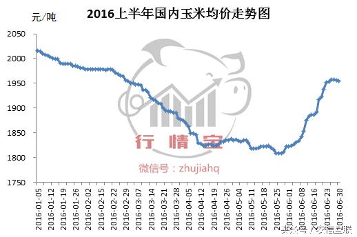 2016年玉米價格分析及下半年預測