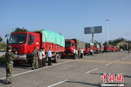 今年廣西查獲走私豬26.26萬頭，案值4.35億元