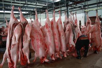 2016年全國(guó)取締不符合條件的生豬屠宰場(chǎng)點(diǎn)1928個(gè)