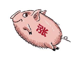 春節(jié)期間豬肉價(jià)格會(huì)長(zhǎng)上漲嗎？豬肉價(jià)格上漲原因是什么？