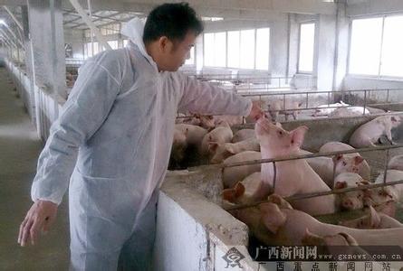 香噴噴的豬肉背后有怎樣的堅(jiān)守?記者帶您去探訪