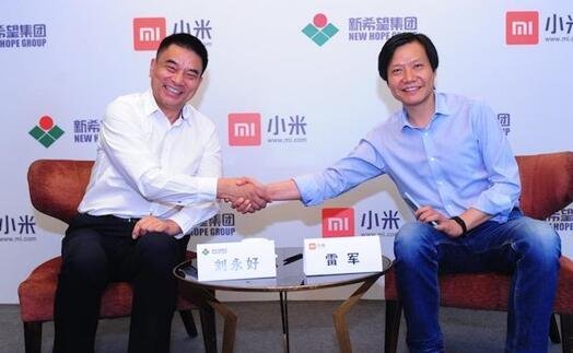 新希望、小米聯(lián)合發(fā)起銀行定名為四川新網銀行