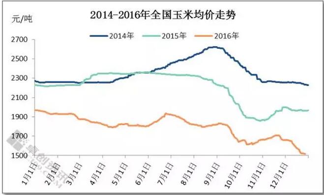 玉米價格已跌到底部，該出手了！