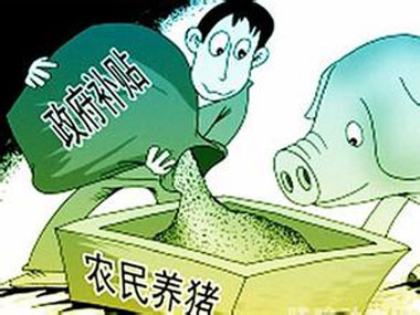 2017-2020年，國家扶持養(yǎng)豬政策將重點補貼這幾個方面