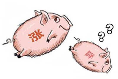 豬價(jià)下調(diào)最后一搏 關(guān)鍵節(jié)點(diǎn)上養(yǎng)殖戶該如何做?