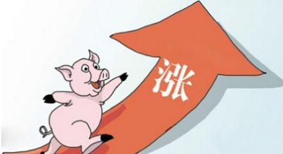 雞年首個寒潮預警來襲降溫10度，是否會拱高豬價？