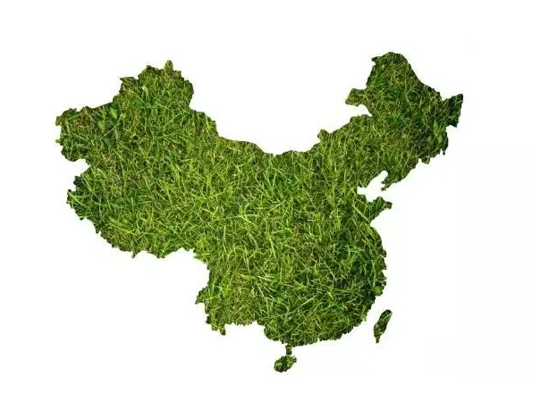 全國(guó)20省市霉菌毒素污染狀況分析
