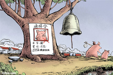禁養(yǎng)拆豬場原來還有這門道！