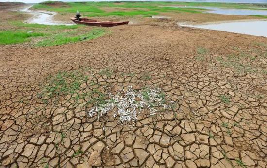 農(nóng)業(yè)部門主動應(yīng)對旱澇災(zāi)害造成局部農(nóng)業(yè)損失