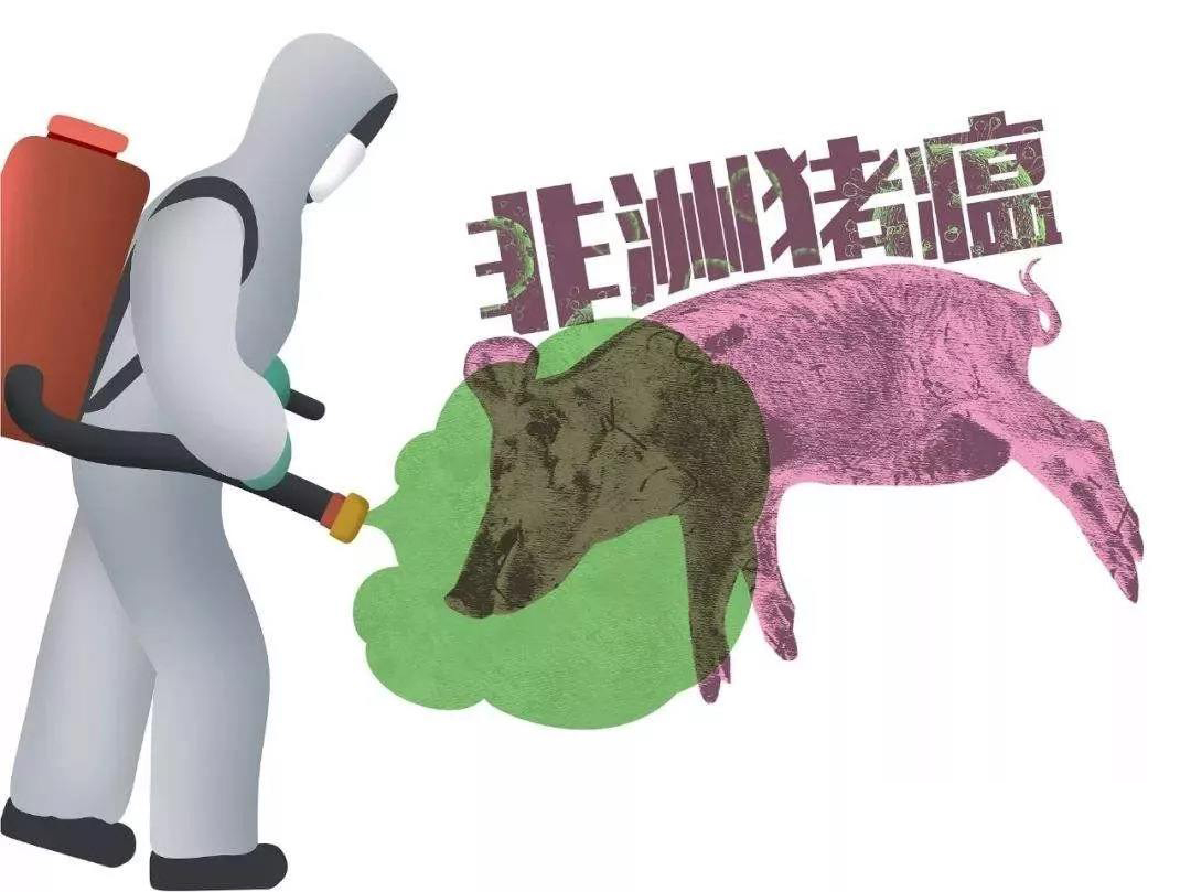 樊福好：非洲豬瘟防控，必須保護(hù)易感豬群