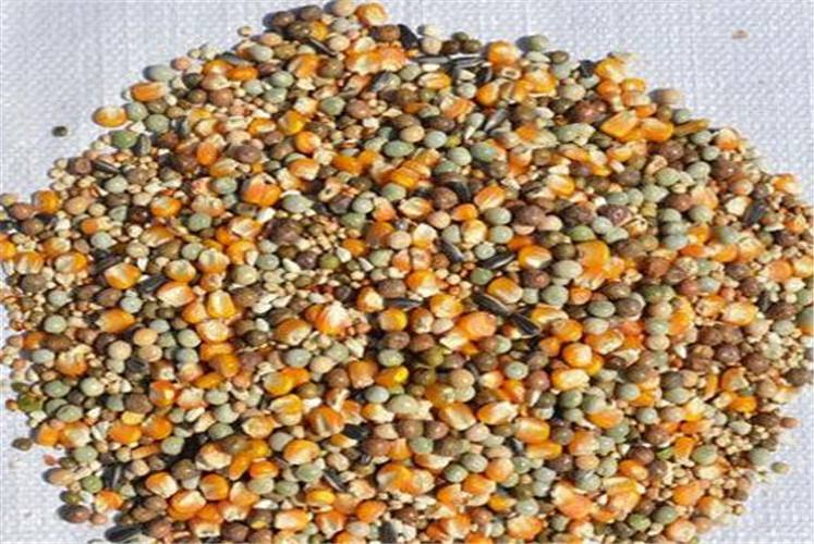 自配料也要規(guī)范了！山東發(fā)布22條相關(guān)措施規(guī)范自配料用戶！