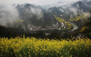 敕勒川國際動物疫苗創(chuàng)新大會盛大開幕 —“科技引領(lǐng)未來 共享同一健康”